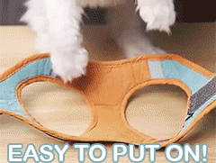 Adjustable Cat Harness and Leash Set – Escape-Proof Reflective Vest