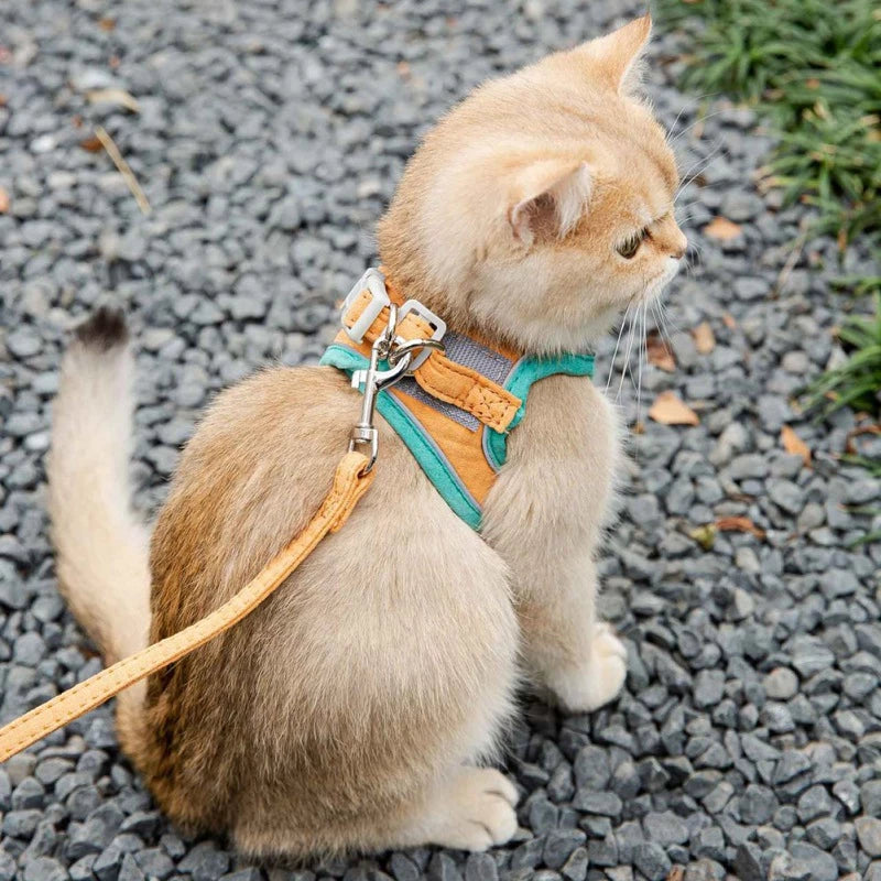 Adjustable Cat Harness and Leash Set – Escape-Proof Reflective Vest
